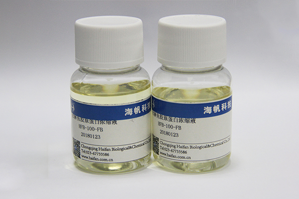 Hydrolyzed Collagen